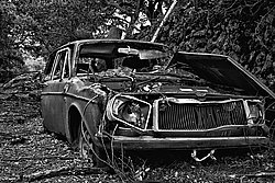 Bernhard Saalfeld - Volvo X
